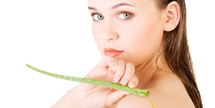 Hojivý gel:

Budete potřebovat: 1 velký tlustý list aloe vera, 50 ml kokosového oleje.

Postup: List odřízněte úplně u stonku a podélně jej nařízněte. Mezi slupkou a gelem je nepotřebná dužina, po rozříznutí tedy nechte list vyschnout. Pak lžičkou naberte jen gel bez dužiny a smíchejte jej s kokosovým olejem. Lépe se vám bude pracovat, pokud bude kokosový olej v kapalném skupenství (od teploty 24 °C).