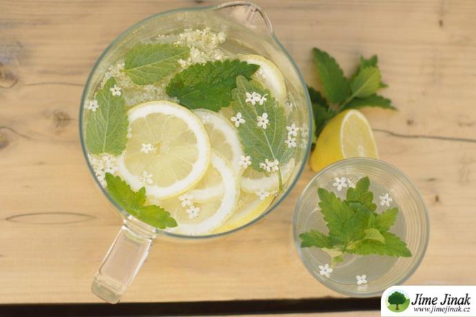 Na přípravu vynikající a zdravé limonády budete potřebovat:

Plné hrsti zářivě žlutobílých a svěže vonících bezových květů čerstvě nasbíraných,
med a cukr,
2 citrony,
2 litry vody.

Do velké sklenice volně naskládejte téměř po okraj bezové květy, přidejte kolečka citronu a zalijte převařeným nálevem z vody, cukru a medu. Nakonec přidejte jednu lžíci vinného octa a uzavřete fólií. Nechejte na slunečném místě kvasit po dobu 10 dní, poté přeceďte do čistých lahví. Přesuňte do sklepa (nebo na chladné temné místo) na další dva týdny.