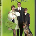 Satirický a humorně laděný román, který je filmovou rodinnou kronikou zachycující období od roku 1962 do gorbačovské perestrojky. Děj se odehrává v Praze a v městečku Sázava. 