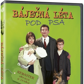 Satirický a humorně laděný román, který je filmovou rodinnou kronikou zachycující období od roku 1962 do gorbačovské perestrojky. Děj se odehrává v Praze a v městečku Sázava. 