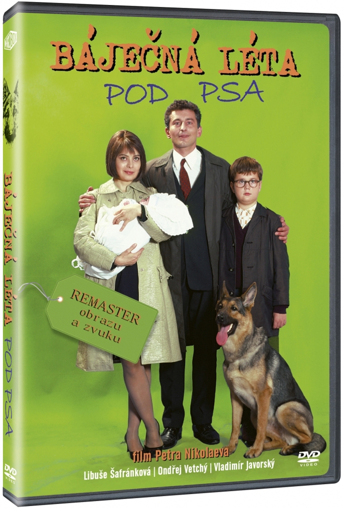 Satirický a humorně laděný román, který je filmovou rodinnou kronikou zachycující období od roku 1962 do gorbačovské perestrojky. Děj se odehrává v Praze a v městečku Sázava. 