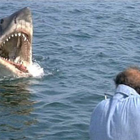 Čelisti (1975) jsou americký film, natočený podle úspěšného románu Petera Benchleyho, který volně čerpal ze skutečných případů útoků žraloků u pobřeží Jersey v roce 1916.