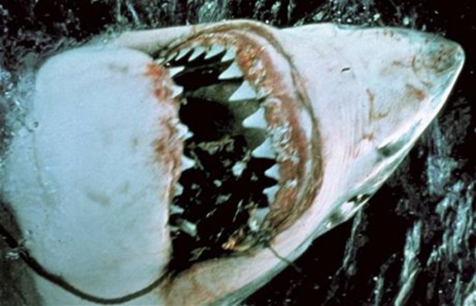 Rekreační město Amity každoročně navštíví mnoho nic netušících turistů a rekreantů.