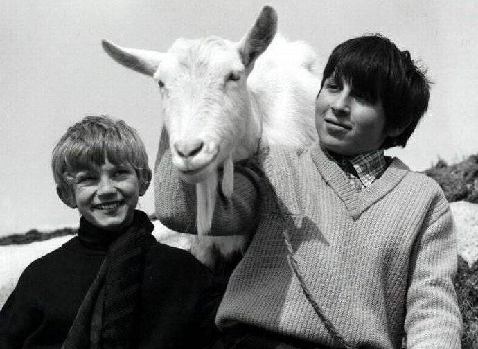 Kraus hrál ve více než 60 filmech, z nichž nejznámější jsou Lišáci, Myšáci a Šibeničák, Spalovač mrtvol, Dívka na koštěti, Jak se budí princezny, Černí baroni, Gympl, Drahé tety a já, Copak je to za vojáka.