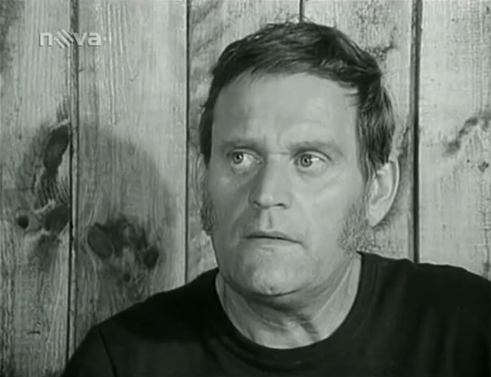 Ilja Prachař (30. dubna 1924 Malenovice – 10. srpna 2005 Praha) byl český herec, dramatik a dabér.