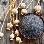 Mák je v české kuchyni velmi oblíbený, nejen že je velmi zdravý, ale obsahuje dvanáctkrát více vápníku než kravské mléko.