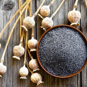 Mák je v české kuchyni velmi oblíbený, nejen že je velmi zdravý, ale obsahuje dvanáctkrát více vápníku než kravské mléko.