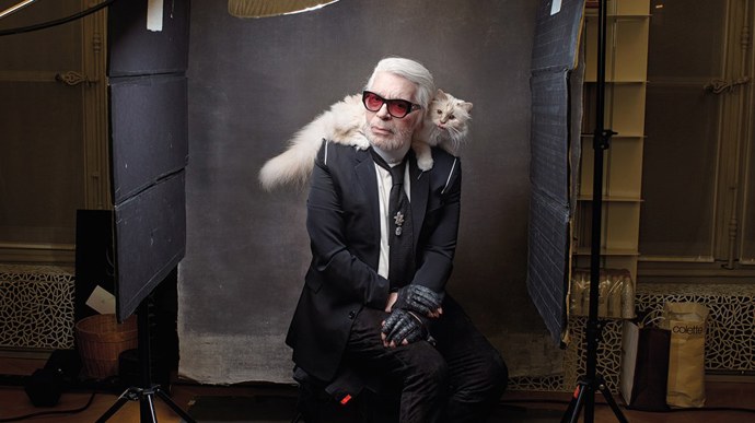 Módní návrhář Karl Lagerfeld zemřel 19. února 2019 v nedožitých 86 letech.