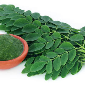 Těstoviny s moringou
Suroviny:
Potřebujete:
kukuřičné těstoviny
tahini pastu
1 lžíci moringy na 1 porci
smetanu
sůl
pepř
brokolici
Postup:
Množství přizpůsobíme počtu porcí. K vařeným těstovinám si připravíme omáčku prohřátím 1 lžíce tahini pasty na 1 porci s trochou soli, pepře, moringy a asi 4 lžic vody na porci. Jakmile se vše promísí, přidáme zhruba dvě lžíce smetany a krátce provaříme společně.
Brokolici je nejlepší nachystat jen na páře, poklást ji na těstoviny a pokapat hotovou omáčkou. Dozdobit vše můžete sušenými rajčaty.