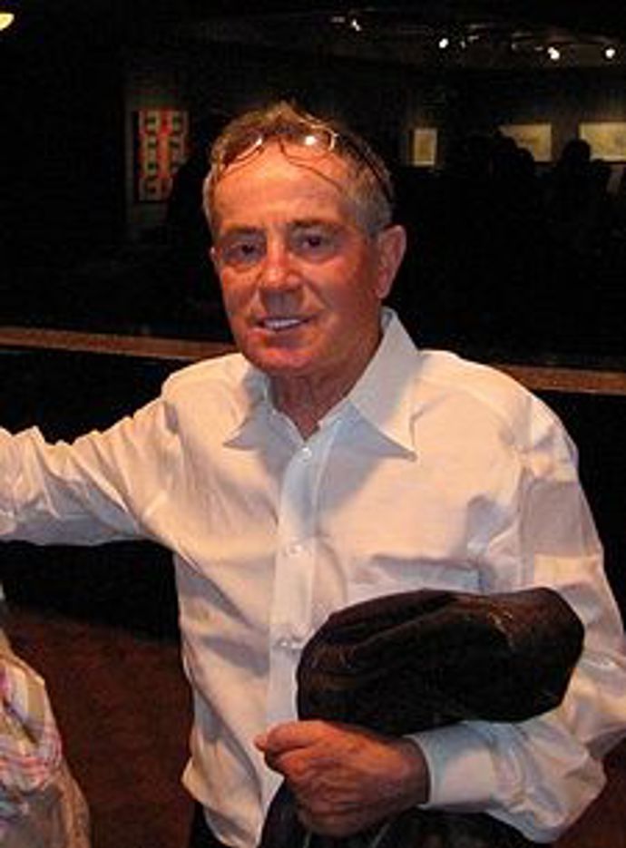 Dne 23. září 2017 se vážně zranil při pádu z Karlova mostu. Stalo se to dva dny před plánovaným začátkem natáčení filmu Jiřího Mádla Na střeše, ve kterém měl hrát hlavní roli. Na následky nehody po dvou dnech (25. září) v Ústřední vojenské nemocnici v pražských Střešovicích zemřel.