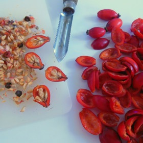 Šípková pasta:

Hodně měkké šípky zbavíme stopek, ale nepůlíme je a dáme je na 24 hodin do mrazáku. Pak je necháme mírně povolit, každý šípek pevně zmáčkneme a z otvoru po stopce vytlačíme dřeň bez peciček i chloupků.

Dřeň promícháme s moučkovým cukrem podle chuti, napěchujeme ji do skleniček, které uložíme do chladničky. Pasta je výborná jako pomazánka, z hodně ztuhlé pasty můžeme tvarovat nepečené cukroví.