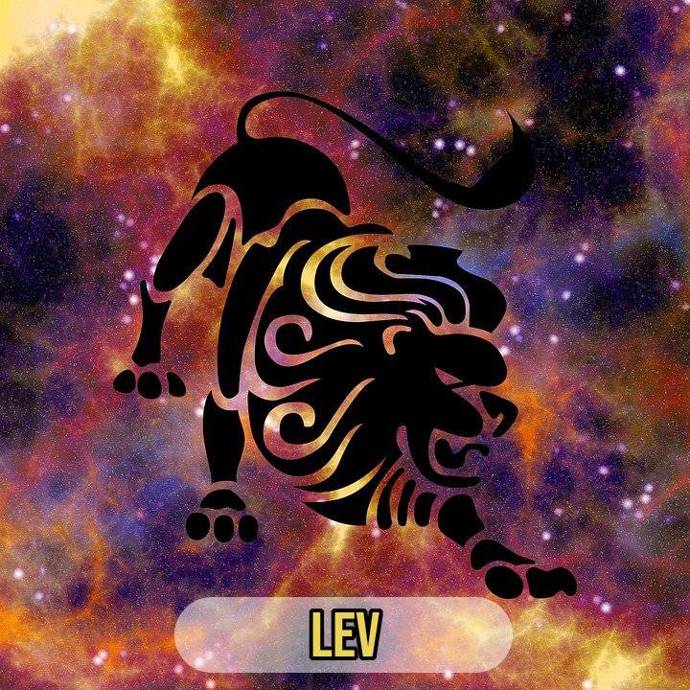 Lvovi laskejte celé tělo a vískejte ho ve vlasech. 