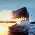 Když se u pláží rekreačního městečka začnou ztrácet lidé a moře vyplaví tělo kosatky s obřími kousanci, je si policejní náčelník jistý, že se opět objevil bílý lidožravý žralok. I přes jeho naléhání však vedení města odmítá uzavřít pláže a vyhlásit pohotovost.