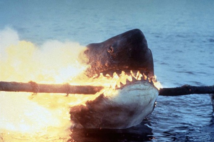 Když se u pláží rekreačního městečka začnou ztrácet lidé a moře vyplaví tělo kosatky s obřími kousanci, je si policejní náčelník jistý, že se opět objevil bílý lidožravý žralok. I přes jeho naléhání však vedení města odmítá uzavřít pláže a vyhlásit pohotovost.