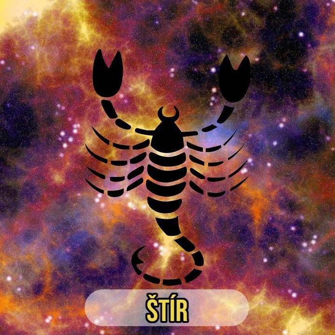 ŠTÍR (24. 10. – 22. 11.): Váš nový vztah začne napřed jako přátelství. S novým objevem vás bude pojit společná aktivita či koníček.