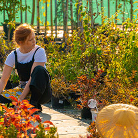 Ona sama střídá kluky jako ponožky, a proto hned založí Elišce profil na osvědčené seznamce.