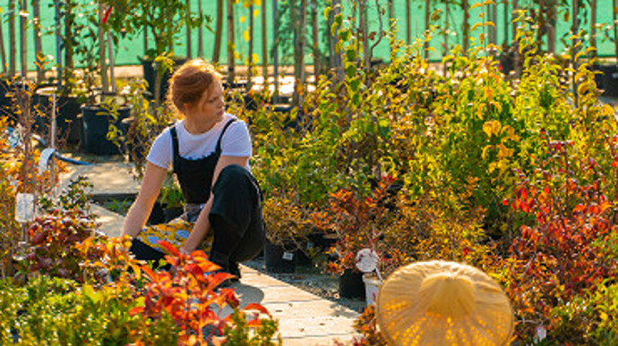 Ona sama střídá kluky jako ponožky, a proto hned založí Elišce profil na osvědčené seznamce.