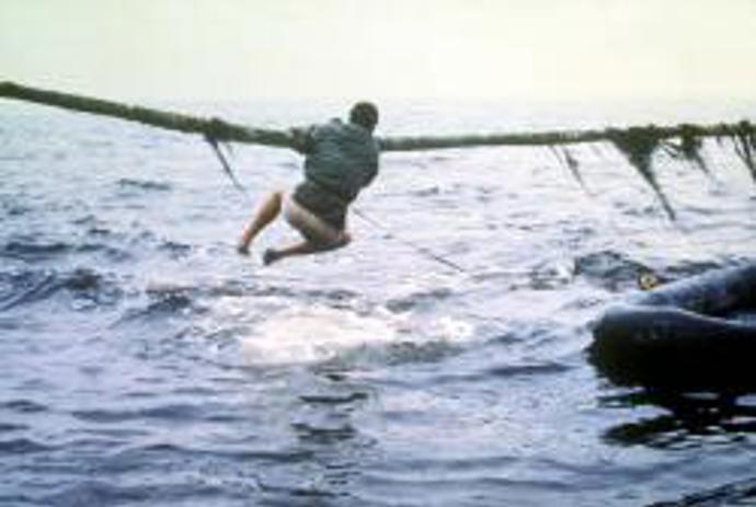 Když se u pláží rekreačního městečka začnou ztrácet lidé a moře vyplaví tělo kosatky s obřími kousanci, je si policejní náčelník jistý, že se opět objevil bílý lidožravý žralok. I přes jeho naléhání však vedení města odmítá uzavřít pláže a vyhlásit pohotovost.