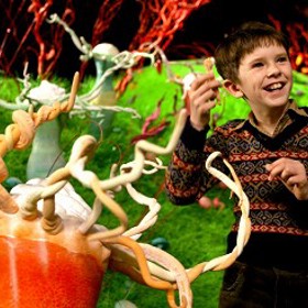 Lízátka, cukrové hůlky a další sladkosti byly skutečné. Nejednalo se o umělé rekvizity.