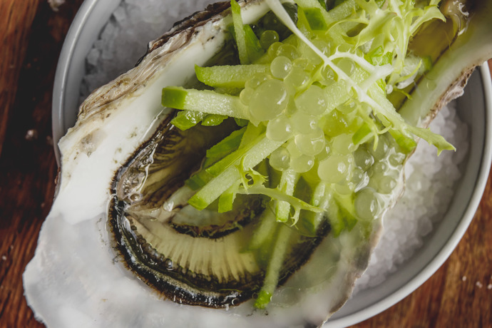 Ústřice s limetkovo sójovou omáčkou a salátovou okurkou.