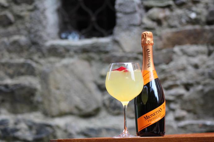 Moulin Rouge

100ml Prosecco Mionetto
40ml Gran Marnier
50ml Pomerančový fresh juice 
10ml Čerstvá citronová šťáva
10ml Cukrový sirup
Dekor - Lístky růže

Recept na tento koktejl vznikl ve spolupráci s píseckým barem Revolution Bar.
