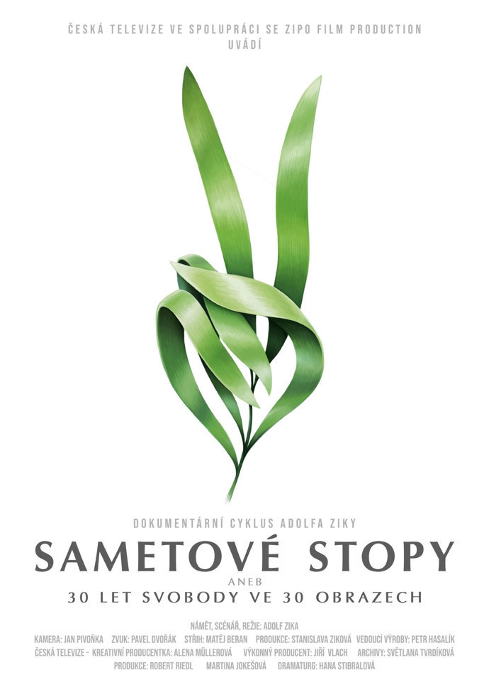 Cyklus krátkých dokumentů zachycuje prostřednictvím 30 fotografií zlomové či významné okamžiky naší doby od 17. listopadu 1989 do konce roku 2018.