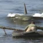 Když se u pláží rekreačního městečka začnou ztrácet lidé a moře vyplaví tělo kosatky s obřími kousanci, je si policejní náčelník jistý, že se opět objevil bílý lidožravý žralok. I přes jeho naléhání však vedení města odmítá uzavřít pláže a vyhlásit pohotovost.