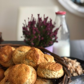 Zelňáky:

Suroviny:

250 g odkapaného kysaného zelí
250 g hladká mouka
150 g sádlo i se škvarky
1/4 lžičky soli
1/2 lžičky majoránky.

POSTUP:
Všechny ingredience smícháme, lžičkou namočenou ve vodě tvoříme na plech tenké placičky, které při 180 °C upečeme dozlatova. Skvělé jsou k pivu i vínu!
