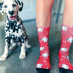 Sladit se s paničkou - to je základ!