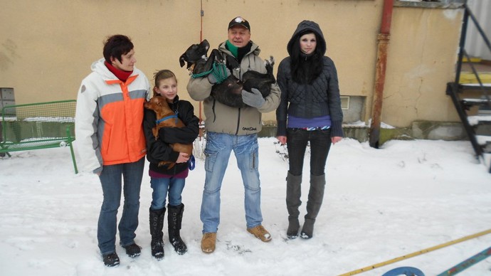 U druhé rodiny totiž měli psi evidentně hlavní slovo. Nejenže si brali bez dovolení jídlo, ale dokonce dělali potřebu na kuchyňskou linku.