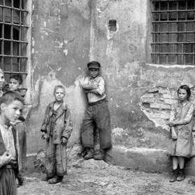 Film byl přijat do hlavní soutěže 76. ročníku Benátského filmového festivalu, na němž od studentské poroty obdržel cenu Film pro UNICEF za nejlepší snímek bojující za dětská práva.