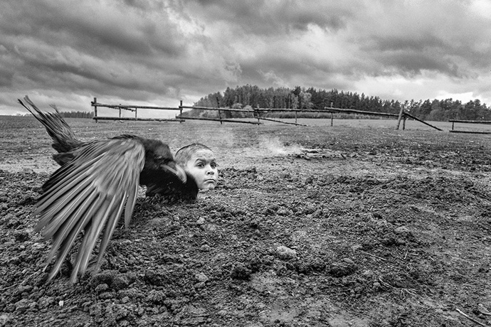 Nabarvené ptáče je český film režiséra Václava Marhoula z roku 2019 podle stejnojmenného románu polského spisovatele Jerzyho Kosińského z roku 1965.
