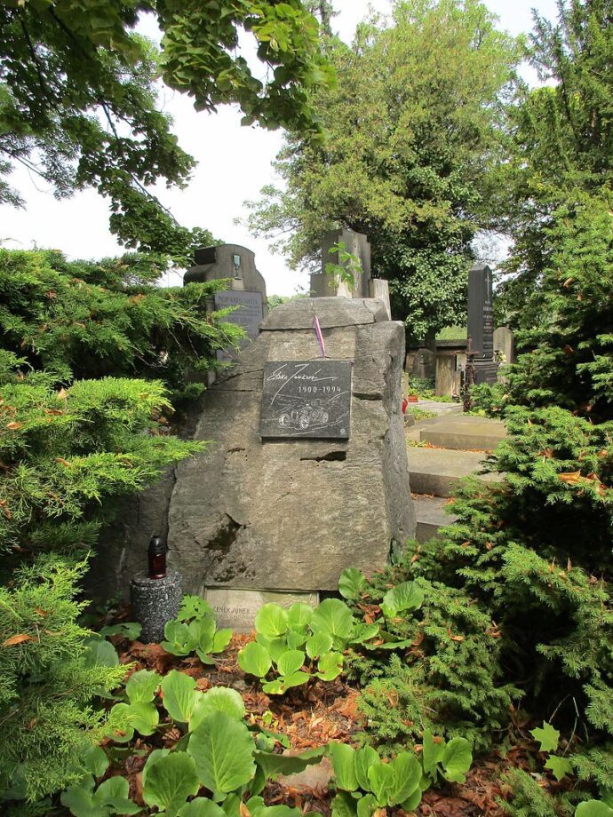 Za své úspěchy získala ocenění zasloužilá mistryně sportu.