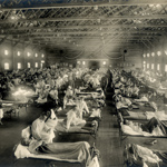 Úmrtnost na tzv. španělskou chřipku byla odhadována až na pět procent, počet obětí činil mezi 50 a 100 miliony lidí (smrtnost tedy odpovídala zhruba 10 až 20 % z nakažených osob).