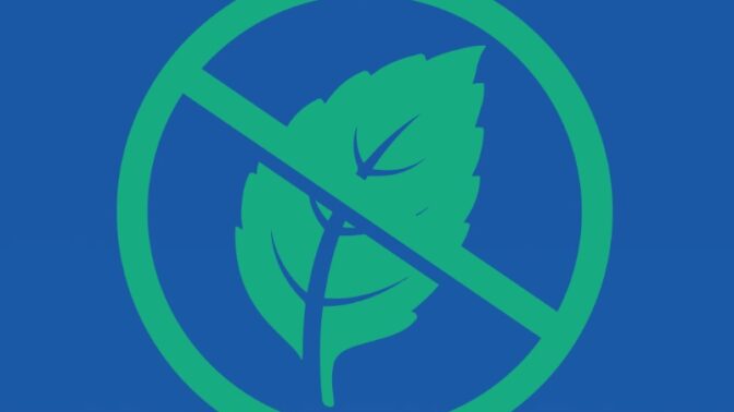 Historie oblíbených mentolek: Zbohatl na nich astmatik, pomohly ke zrovnoprávnění v Americe