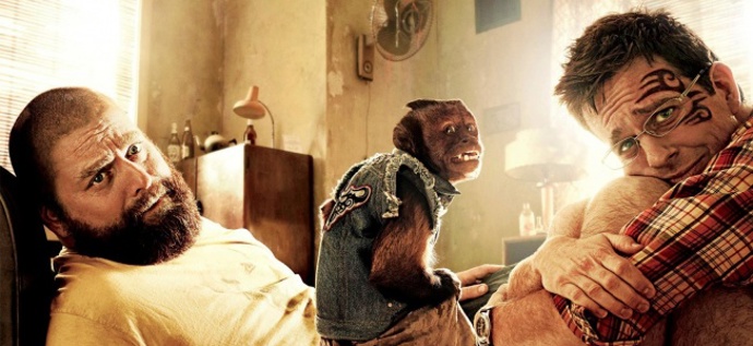 Opice, která ve filmu sehraje nemalou roli, je malpa hnědá, v latině Cebus apella. Ve skutečnosti se jmenuje Crystal a Hollywood jí není vůbec cizí. Mohli jsme ji vidět třeba ve filmech Noc v muzeu (2006) nebo Ošetřovatel (2011).