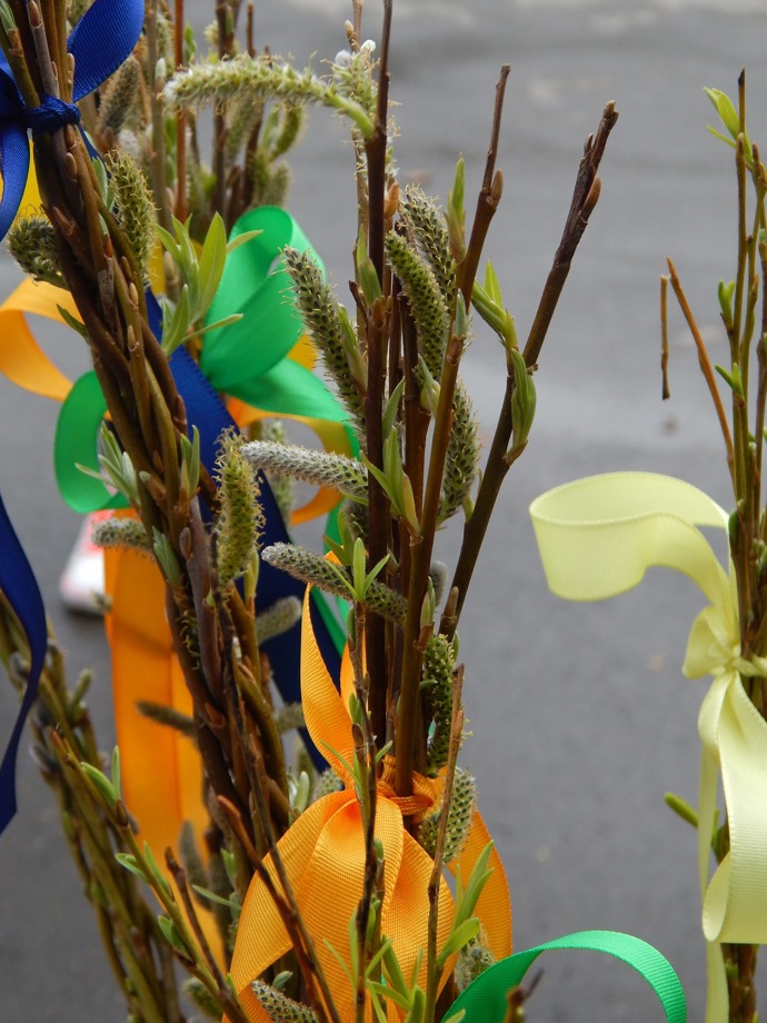 Pomlázka v Čechách k Velikonocům neodmyslitelně patří. Lidé se už odedávna švihají pomlázkou, aby byli celý rok zdraví a mladí.