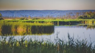 Užijte si hýčkání v maďarských termálních lázních. Čeká na vás v Park Inn by Radisson Zalakaros Resort & Spa