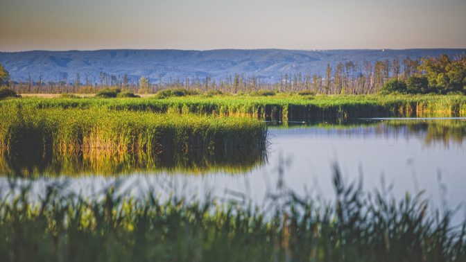 Užijte si hýčkání v maďarských termálních lázních. Čeká na vás v Park Inn by Radisson Zalakaros Resort & Spa