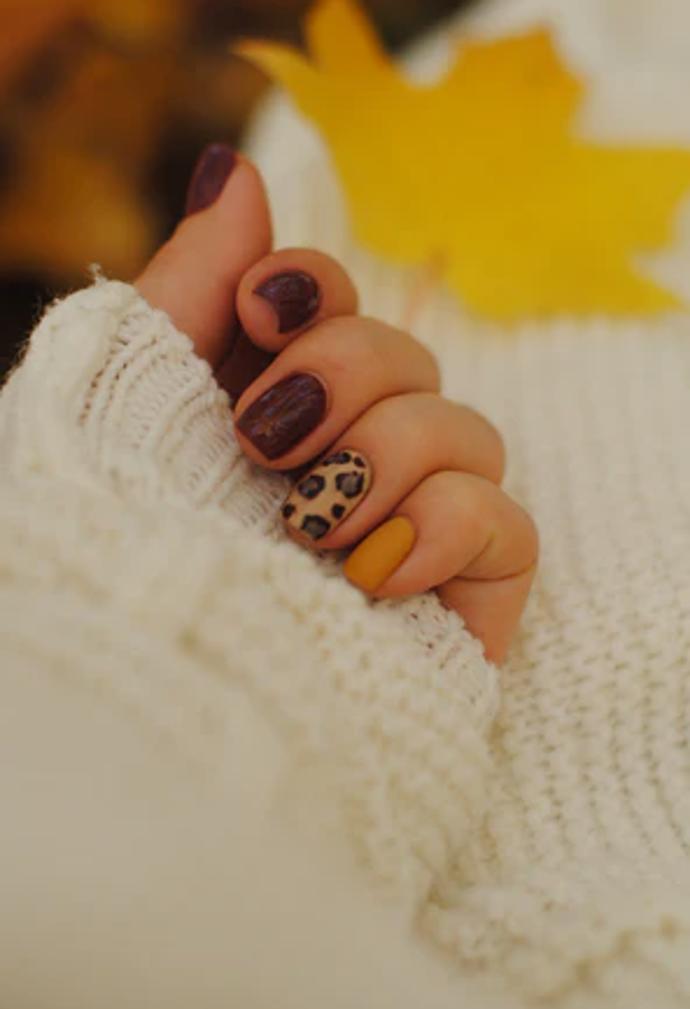 Zvířecí vzor je snad nesmrtelný. 