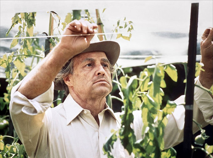 Koupil si vlastní ostrov, kde je vše eko. Akorát se musel půl roku dohadovat s místními autoritami. Nakonec mu pomohl francouzský prezident.