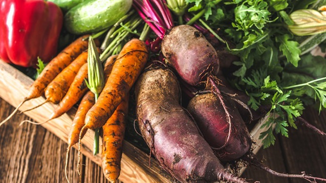 Ekologické zemědělství aneb Co jste vůbec netušili o biopotravinách