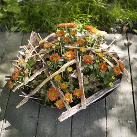 Z chryzantém můžete také vytvářet zajímavé aranže za použití přírodnin.