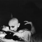 V Německu se horor těšil velké oblibě. Navštívilo jej až jeden milion diváků.
