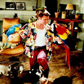 Aby vypadal opravdu nápadně, oblékal se Jim Carrey do barev exotických ptáků. A tak se zrodil legendární Ace Ventura.

