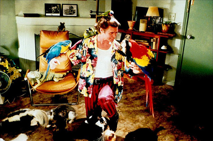 Aby vypadal opravdu nápadně, oblékal se Jim Carrey do barev exotických ptáků. A tak se zrodil legendární Ace Ventura.


