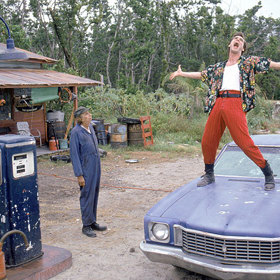 Nakonec ani nelitovali, že udělali pro Jima Carreyho první a poslední. Snímek Ace Ventura: Zvířecí detektiv utržil jenom v kinech 107 milionů dolarů, stál rovných 15.