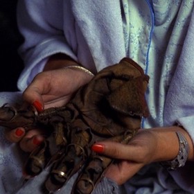 Rukavice jako nebezpečný předmět. Herec Robert Englund se několikrát pořezal, než se naučil, jak si rekvizitu správně nasadit.
