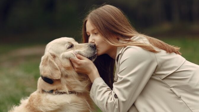 Cukroví pro psy a kočky: Snadné recepty, které vytvoříte ze tří surovin