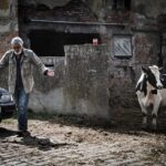 Hlavním hrdinou Teorie tygra je veterinář Jan (Jiří Bartoška), který má už dost komandování... A tak opouští svou manželku Olgu (Eliška Balzerová).
